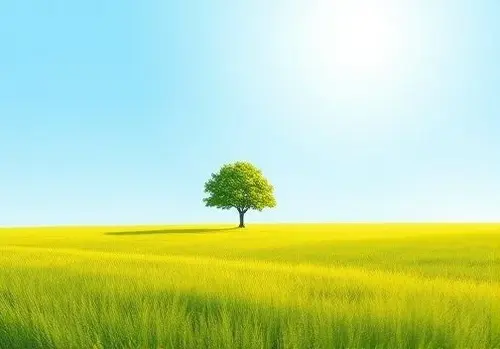 اتصال به زمین