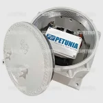 پلایزاسیون سل جامد (PCR)