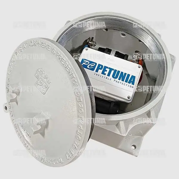 پلایزاسیون سل جامد (PCR)